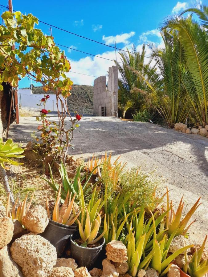 Beautiful Private Cave/Suite Near Climbing Area Santa Cruz de Tenerife Exteriér fotografie